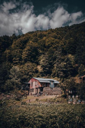 Korsha Guesthouse